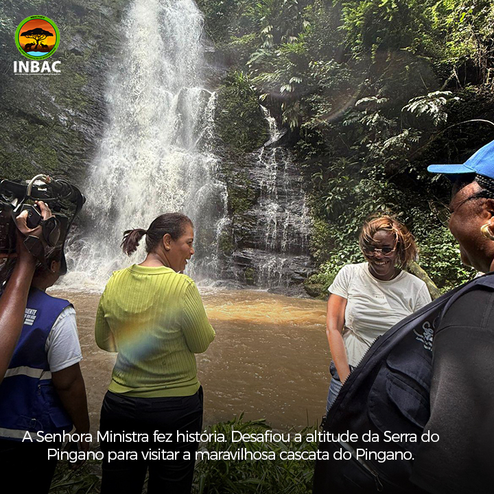 INBC - Instituto Nacional de Biodiversidade e Conservação